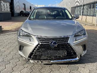 Lexus NX 300H AWD President Line picture 2