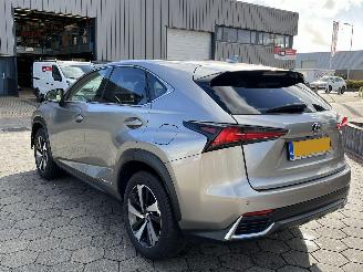 Lexus NX 300H AWD President Line picture 6