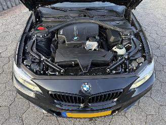 BMW 2-serie Cabrio 220i Centennial High Executive picture 7