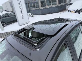 Renault Clio 1.6-16V INITIALE PARIS  PANO picture 9