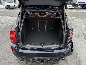 Mini Countryman JCW ALL4 306PK 2.0 John Cooper Chili picture 15