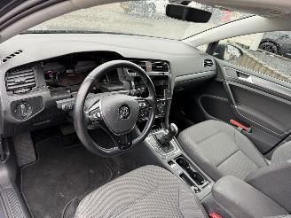 Volkswagen e-Golf E-DITION picture 14