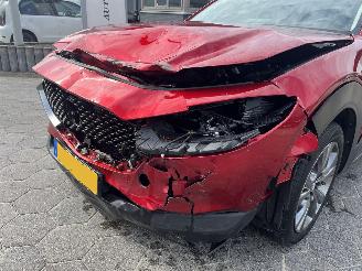 Mazda CX-30 2.0 e-SkyActiv-X M Hybrid Luxury picture 9