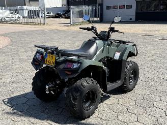 Kymco  QUAD MX4300 picture 5