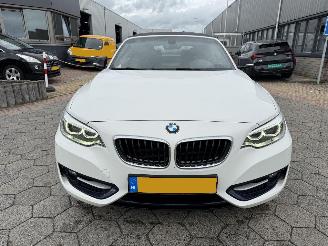 BMW 2-serie Cabrio 218i picture 3