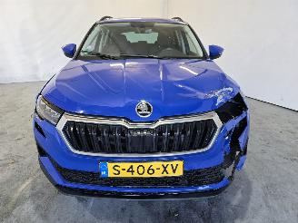 Skoda Karoq 1.0 TSI Business Ed. picture 2