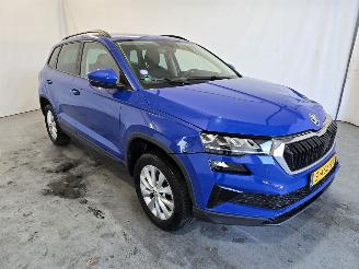 skadebil auto Skoda Karoq 1.0 TSI Business Ed. 2023/5