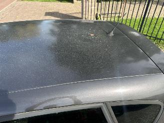 Seat Altea 1.6 Sport-up picture 12