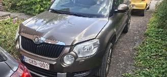 Schadeauto Skoda Yeti 2.0 tdi 2009/1