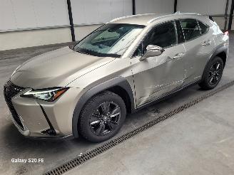Damaged car Lexus UX 250h Hybrid 2.0 112-KW Automaat Luxury 2021/2