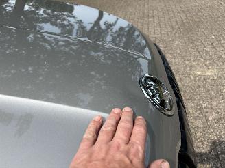 Skoda Karoq 1.0 Tsi Style Business picture 9
