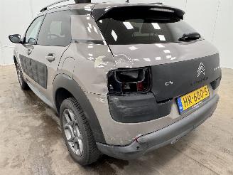 Citroën C4 cactus 1.2 PureTech Shine Navi Clima picture 17