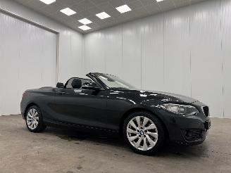 Voiture accidenté BMW 2-serie Cabrio 220d Autom. M-sport Navi Clima 2015/4