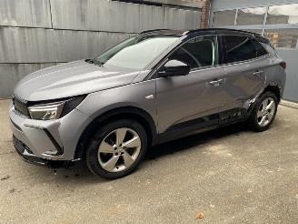 Opel Grandland X 1.2 Turbo (96kW) GS Line picture 1