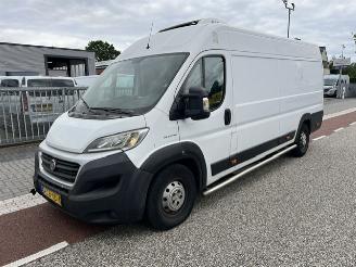 danneggiata veicoli commerciali Fiat Ducato 2.3 MJ 110KW MAXI L4H2  KLIMA  THERMOKING 2019/10