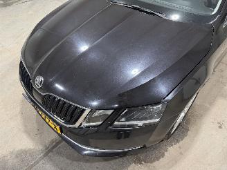 Skoda Octavia 1.0TSI 85kW Automaat  Style Business Panoramadak picture 19