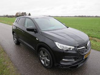 Opel Grandland X 1.6 181 pk Turbo Hybride Automaat Elektrisch/ benzine Elegance Camera  NAVIGATIE picture 22