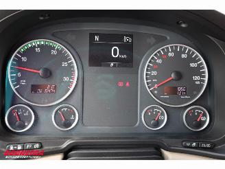 MAN TGL 8.190 Robrise Horsetruck + Camper Camera 61.047 KM! picture 18
