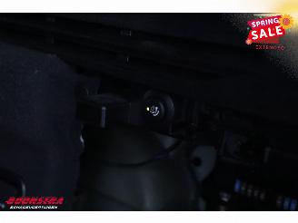 BMW  XDrive30d VAN M-Sport LED Memory H/K AHK SHZ picture 20