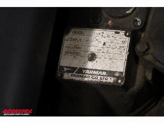   C 610 Compact BY 2011 Rupshijskraan Raupenkran picture 20