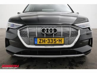 Audi E-tron 55 Quattro MirrorCam 360° Memory SHZ AHK picture 9