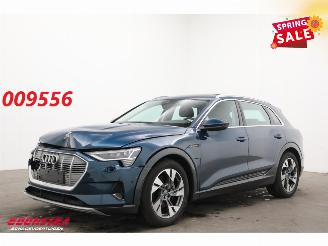 uszkodzony samochody osobowe Audi E-tron 55 quattro advanced 95 kWh LED Virtual Cruise PDC 2019/12