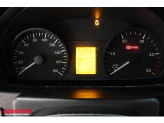 Mercedes Sprinter 516 CDI 7G-Tronic LBW Bak-Klep Airco Cruise Dhollandia picture 19