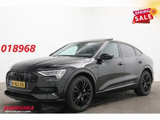 škoda osobní automobily Audi E-tron 50 quattro BsnEd+ 71 kWh Pano LED ACC Memory Leder Camera SHZ 2020/12
