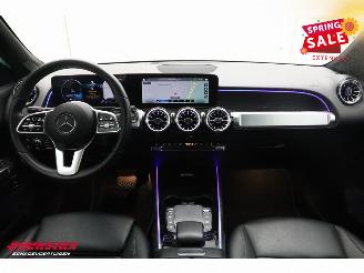 Mercedes EQB 250 Luxury Line 67 kWh Leder Navi Clima Cruise Camera SHZ picture 12