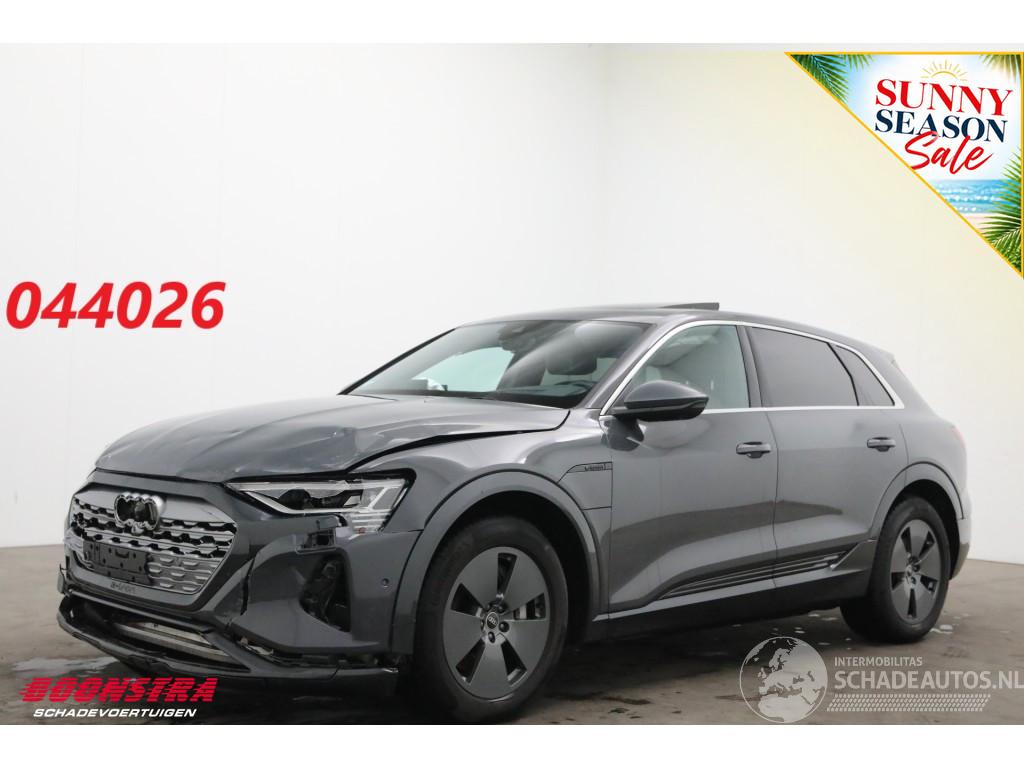 Audi Q8 55 quattro Advanced 115 kWh Pano LED ACC HUD 360° Ventilatie LRHZ