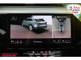 Audi Q8 55 quattro Advanced 115 kWh Pano LED ACC HUD 360° Ventilatie LRHZ picture 27