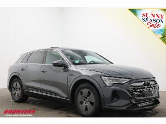 Audi Q8 55 quattro Advanced 115 kWh Pano LED ACC HUD 360° Ventilatie LRHZ picture 2