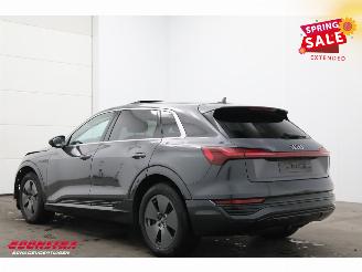 Audi Q8 55 quattro Advanced 115 kWh Pano LED ACC HUD 360° Ventilatie LRHZ picture 4
