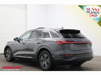 Audi Q8 55 quattro Advanced 115 kWh Pano LED ACC HUD 360° Ventilatie LRHZ picture 4