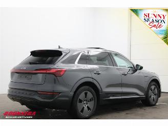Audi Q8 55 quattro Advanced 115 kWh Pano LED ACC HUD 360° Ventilatie LRHZ picture 3