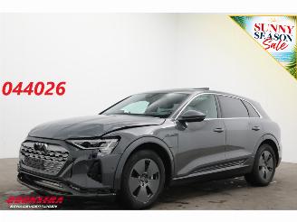 Audi Q8 55 quattro Advanced 115 kWh Pano LED ACC HUD 360° Ventilatie LRHZ picture 1