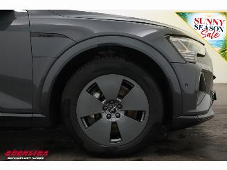 Audi Q8 55 quattro Advanced 115 kWh Pano LED ACC HUD 360° Ventilatie LRHZ picture 5