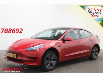krockskadad bil auto Tesla Model 3 Standard RWD Plus 60 kWh Pano LED ACC Leder Camera 2023/5