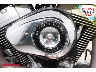 Harley-Davidson  FXDF Dyna Fat Bob picture 18