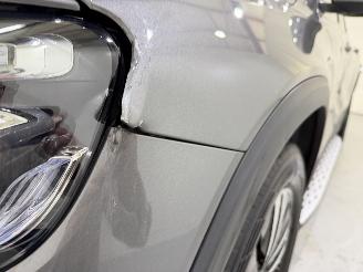 Mercedes GLB GLB 200 Advantage Aut7 picture 10
