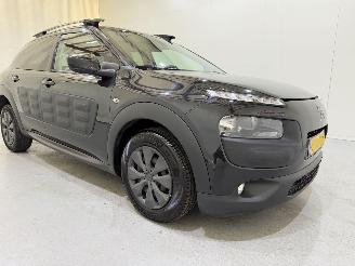 Citroën C4 cactus 1.6 Blue HDI 100 Shine Pano/Navi picture 32