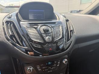 Ford B-Max 1.0 EcoBoost Titanium picture 29