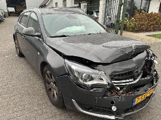 Opel Insignia Sports Tourer 2.0 CDTI picture 3