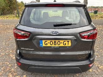 Ford EcoSport 1.0 picture 8