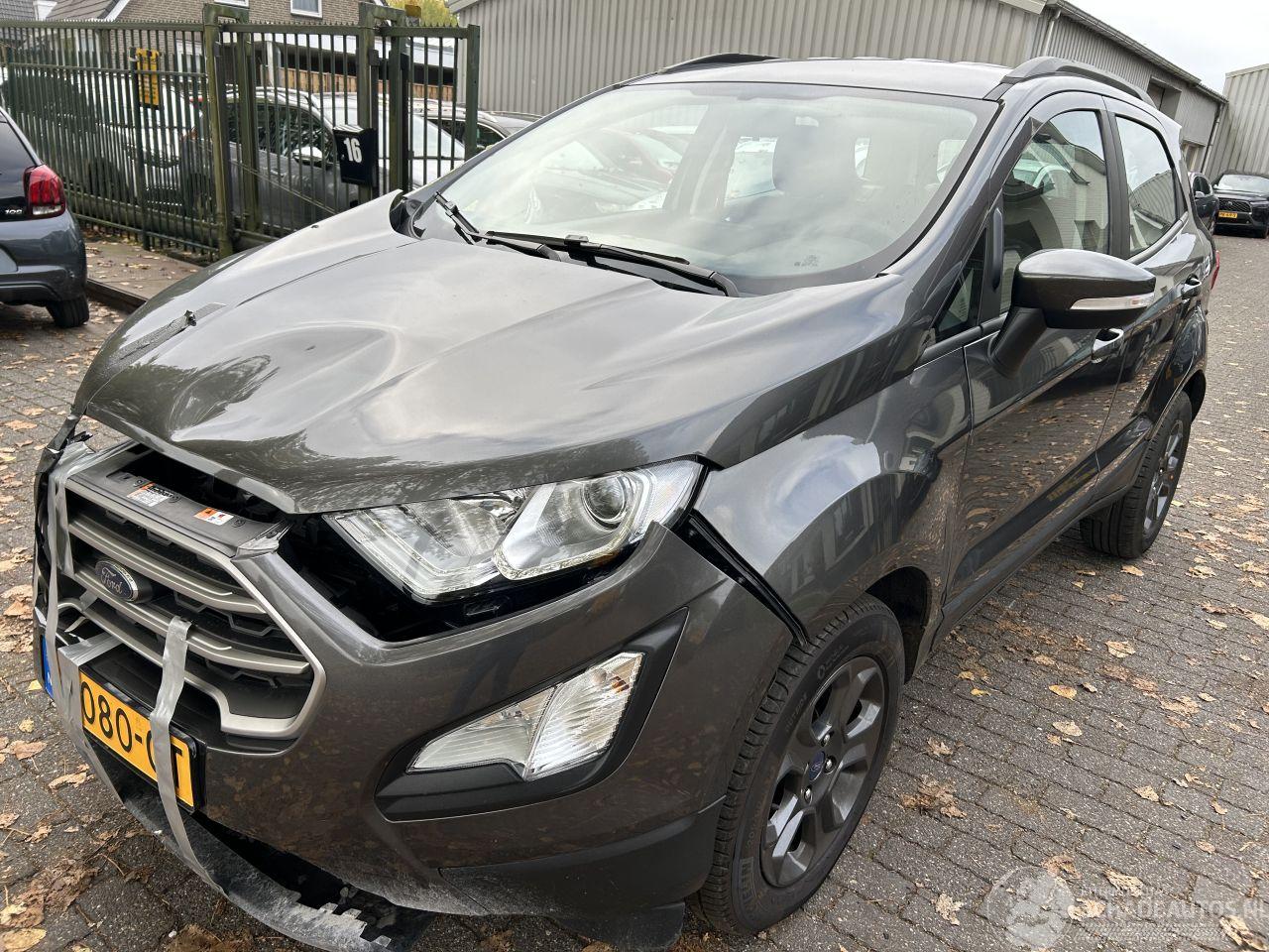 Ford EcoSport 1.0