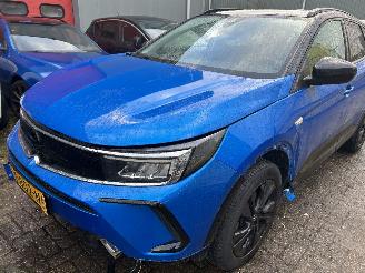 Opel Grandland 1.2 Turbo Level 4 picture 14