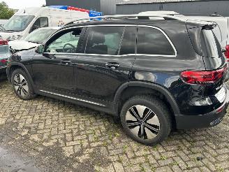 Mercedes EQB 250  Automaat Business line  67 kWh picture 11
