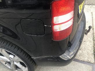 Volkswagen Caddy 16tdi 75kW E5 picture 14