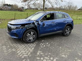 Unfallwagen Mercedes EQA 71KWH EQA 250+ LUXURY LINE / Pano / Leer 2025/1