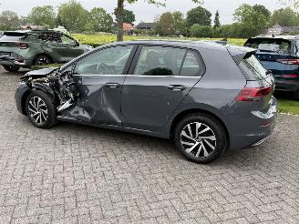 Volkswagen Golf VIII 1.4 EHYBRID / Panorama / Automaat picture 5